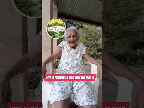 #tíamalia  #elpajaro #riodejesus #veraguas #Panamá #Centroamérica #carpintero #abuelos