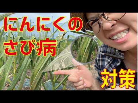 SGH07: 有毒、刺激性、感作性、麻薬性