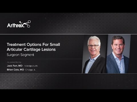 Treatment Options for Small Articular Cartilage Lesions
