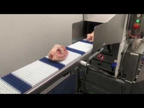 TÜM GÖĞÜS DERİ YÜZÜCÜ