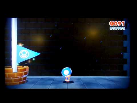 [Super Mario 3D World] World 5-3 Backstreet Bustle Speedrun in 9 Seconds