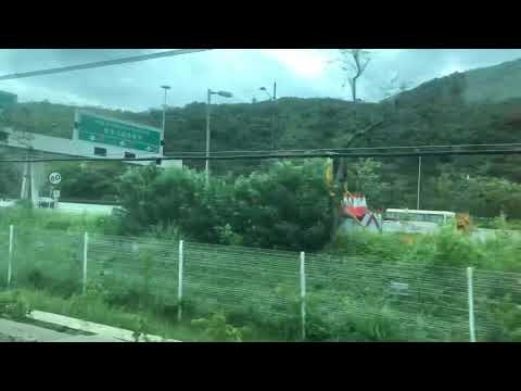 2018.09.17 홍콩AEL 홍콩행 써니베이역(Sunny Bay) 통과 동영상
