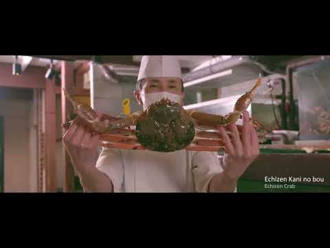 A Journey Through Mikuni, Fukui: Scenic Cliffs, Wagyu & Snow Crab