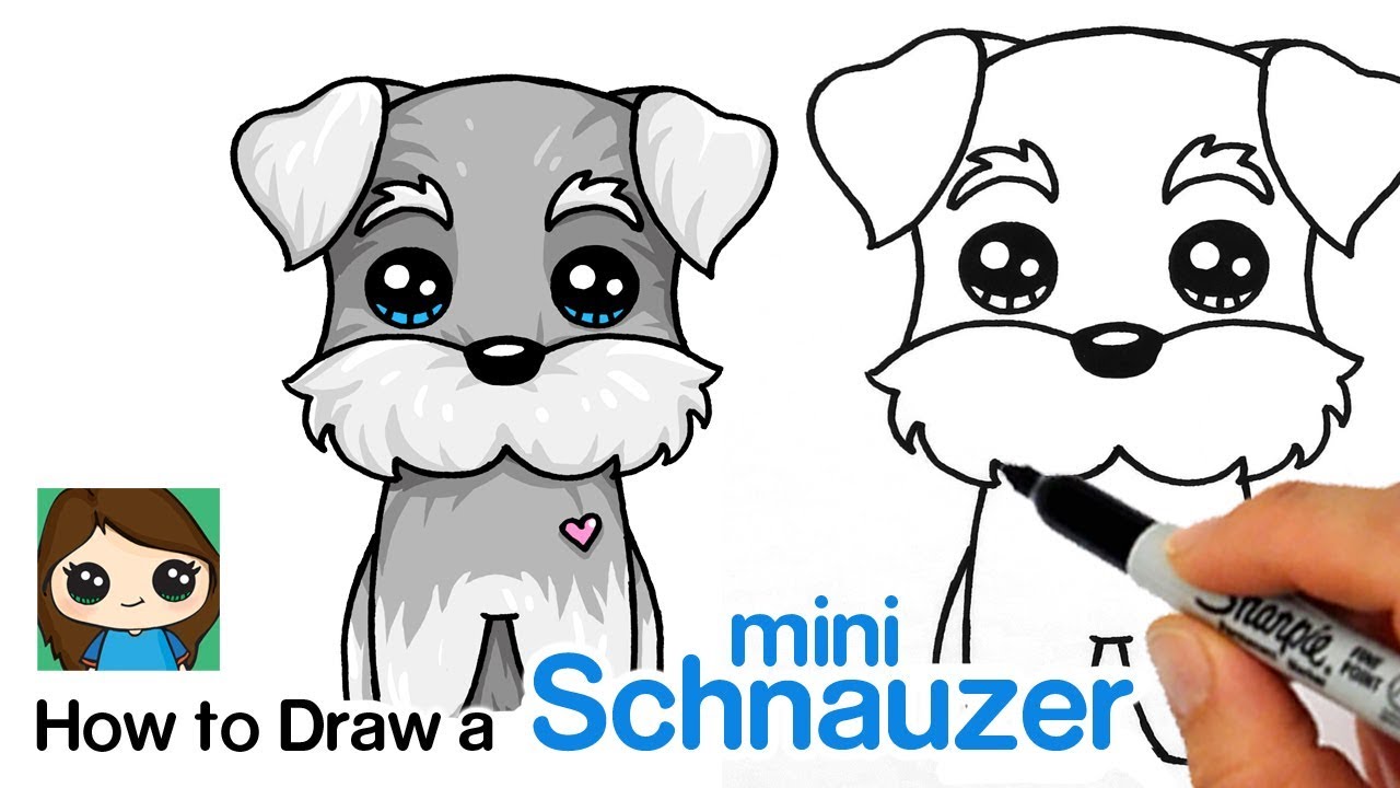 How to Draw  a Miniature Schnauzer Puppy Easy Cartoon Dog