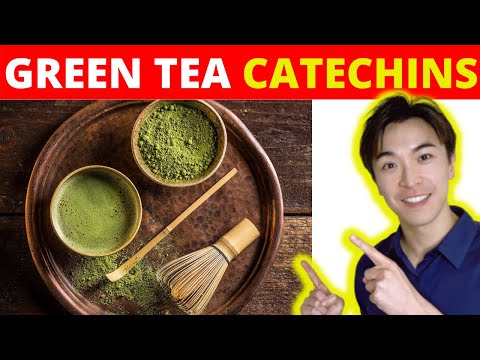 What are Catechins? Green Tea Catechins Benefits