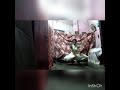 Dhinaku Dhin Jiya Fusion By Priyanka Choreography By Priyanka Adhikary