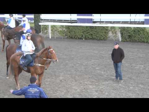 C.F. Orr Stakes Rob Nicholson