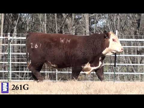 WHR 290E 161D BEEFMAKER 261G