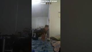 Download lagu gak ngotak cuy🗿🗿🗿 #lucu #duet #funny #memes #viraltiktok #meme #tiktok #memesvideo mp3