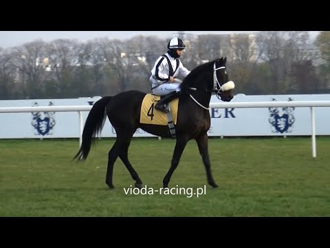 Gon. II (N. Baska) - 15.11.2020 - Rasmy Al Khalediah (Nayef Al Khalidiah - Rajwa Al Khalidiah)