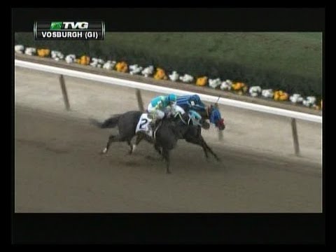 2013 Vosburgh Invitational Stakes - Private Zone