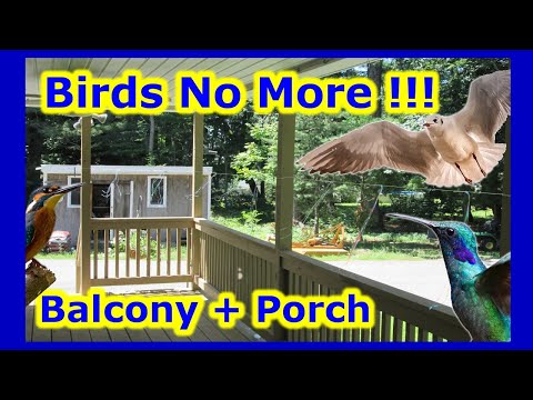 YouTube video about: How to stop birds from pooping on my patio?