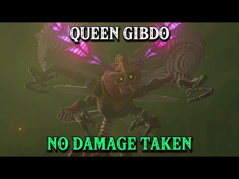Queen Gibdo - NO DAMAGE, NO SHIELD | The Legend of Zelda: Tears of the Kingdom