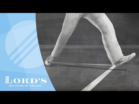 No Ball | The Laws of Cricket Explained with Stephen Fry