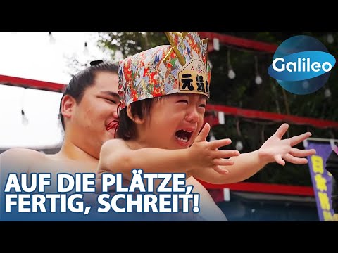 Nakizumo-Baby-Crying-Wettbewerb: Warum ist das Babygeschrei in Japan so wichtig?