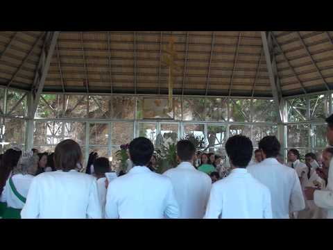 TOM X  CECÍLIA - PEDI A VÓS - GERMANO 45