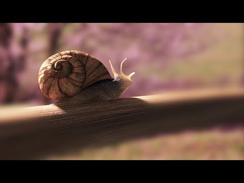 "Blind Shell" - CGI Animated short by Matěj Šak 2017