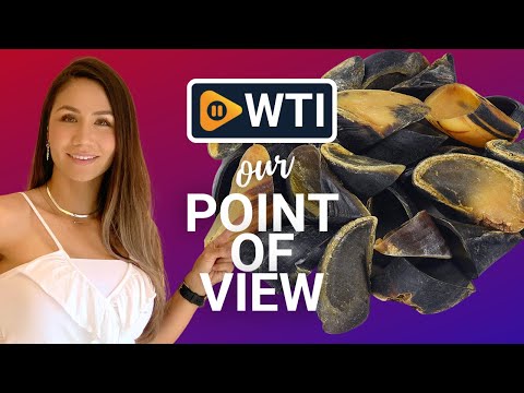Cow Hooves - WTI product video review