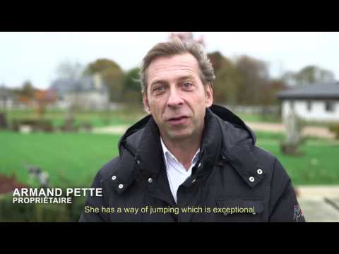 Hommage à Ornella mail* HDC