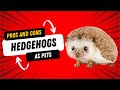 Pros And Cons Of Hedgehogs As Pets