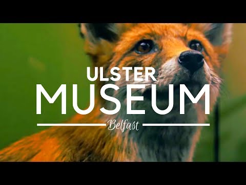 Ulster Museum Belfast; History, Art and Natural Sciences Mix