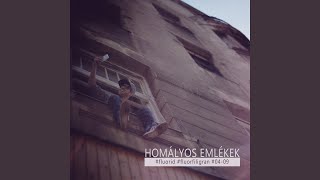 Picsakészen song artwork