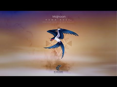 (Majnoon - Bharama (Laroz Remix