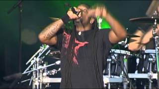 SEPULTURA - DEAD EMBRYONIC CELLS - Live Hellfest 2010