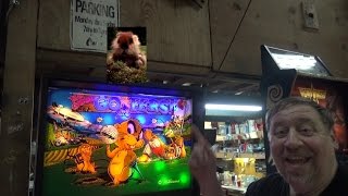 preview picture of video '#696 Williams NO GOOD GOFERS Pinball Machine & Caddyshack Gag!  TNT Amusements'