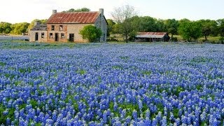 carry you home by motives (cover)