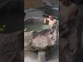 How I Made A Stone Bathtub In One Day