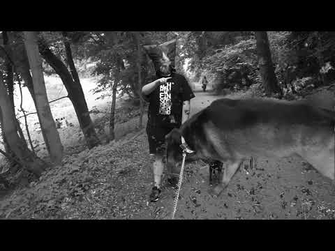 BRL 2019 - 4tel Finale 2/4 - Good N Morgan VS MisterV (Prod. by: Fred M8 Beef) RR