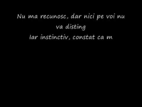 BeBBe & Chyccorita - Voci pierdute (N1SR @ 2011 + Lyrics)