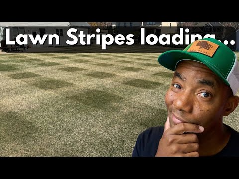 Spring Green Up In Progress - Golf Course Lawn Store - 250