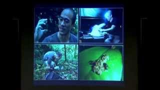 Evolutionary Guides to Conservation Strategies