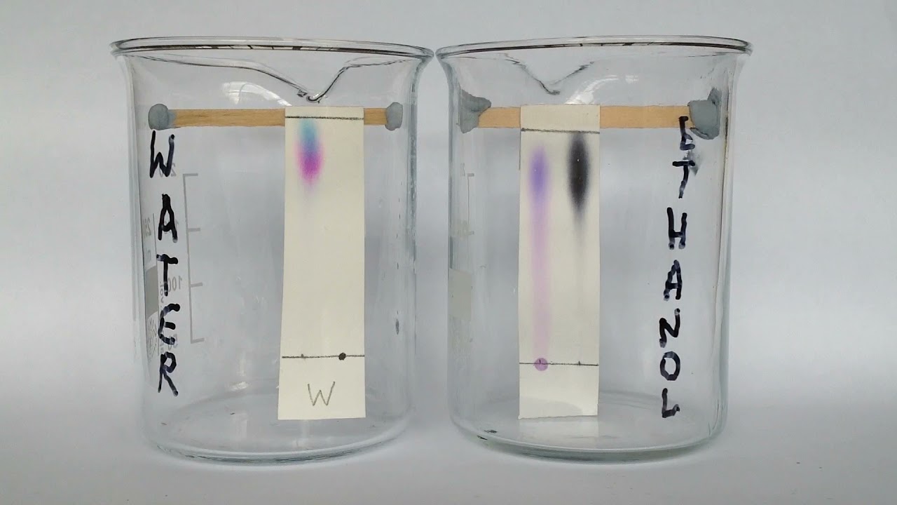 Why Are Two Solvents Used In Chromatography Ref Tips