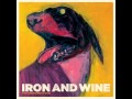 Iron and Wine - Wolves (Song of the Shepherd's ...