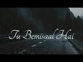 Tu Bemisaal Hai Teri Kya Misaal Doon New Song Status