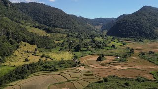 Download lagu Moos pas | November 26, 2025 mp3