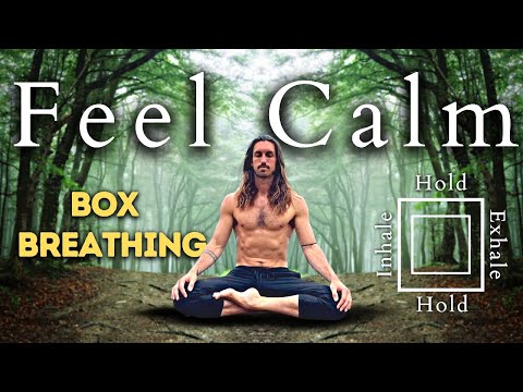 5-Minute Guided Box Breathing for Stress & Anxiety