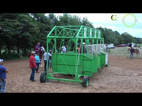 EL BUITRE vs EL NOVA