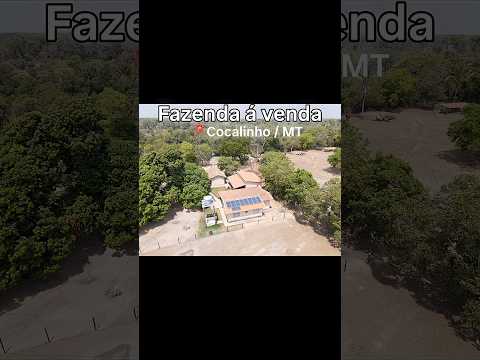 FAZENDA CANGUÇU À VENDA | 2.000 HECTARES EM COCALINHO MATO GROSSO