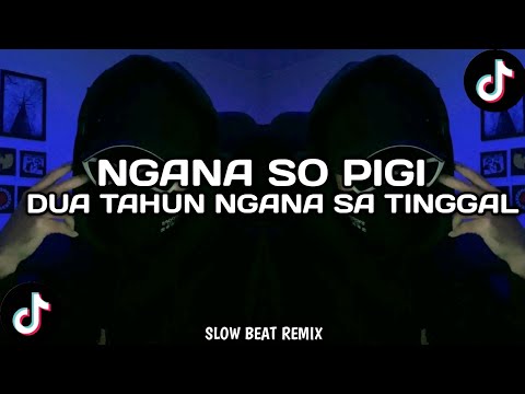 DJ SAD!! NGANA SO PIGI X DUA TAHUN NGANA SA TINGGAL - DJ HARRIS NUGRAHA || SLOW REMIX 2023!!