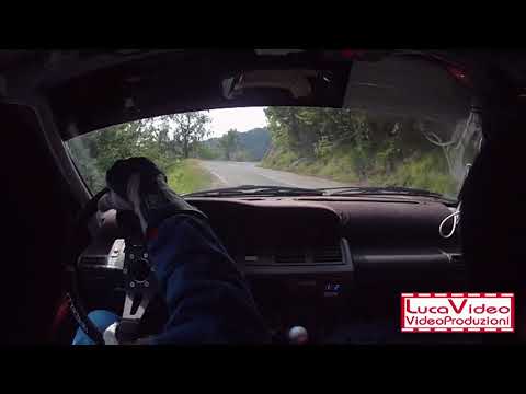 Cameracar Rally Valli Vesimesi 2018 Vercelli-Castelli Clio W N3 - PS7 1°tempo di classe