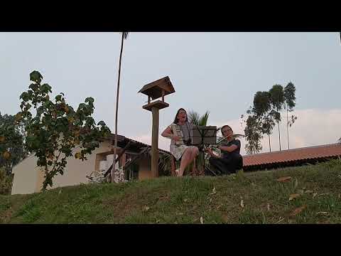 Eu Desejo Senhor (Hino 39 CCB).