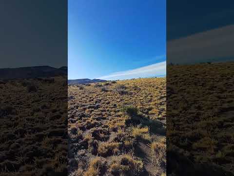 El #paisaje se vuelve DORADO al #amanecer #trekking #verano 2025 El Maiten C° La Cruz #short #nature