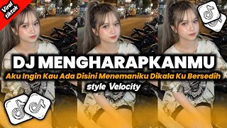 Download lagu DJ AKU INGIN KAU ADA DISINI MENEMANIKU DIKALA KU BERSEDIH- DJ MENGHARAPKANMU VELOCITY STYLE  mp3