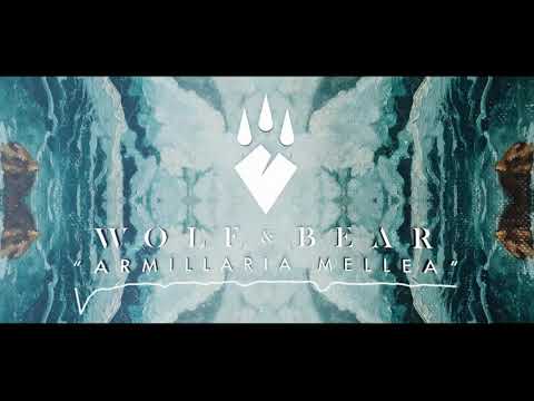 Wolf & Bear - Armillaria Mellea