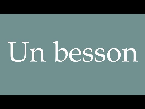How to Pronounce ''Un besson'' (A twin) Correctly in French
