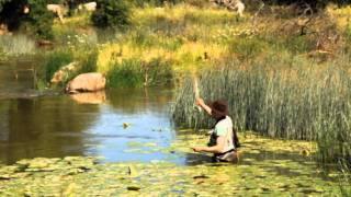Entre nenúfares - mayo 2011